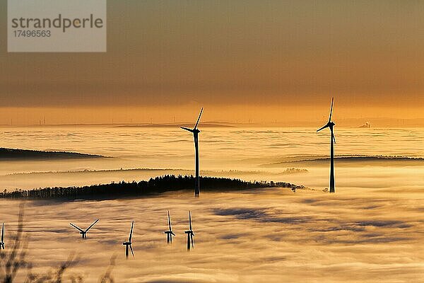 Wald und Windräder ragen aus Wolkendecke  Silhouetten bei Sonnenuntergang  Köterberg  Lügde  Weserbergland  Nordrhein-Westfalen  Deutschland  Europa