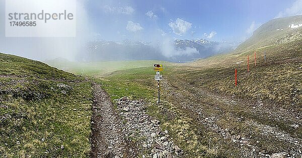 Nebel am Gotschna  Davos  Graubünden  Schweiz  Europa