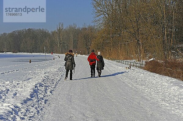 Drei Spaziergänger im Winter bei Schnee  Hinterbrühl  München  Bayern  Deutschland  Europa