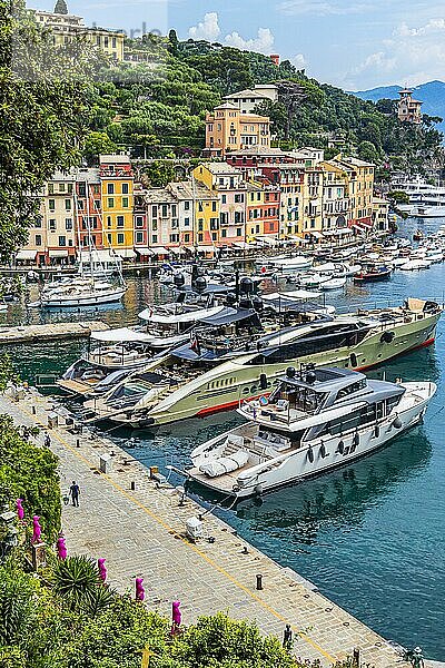 Luxus Yachten ankern im Hafen von Portofino  dahinter pastellfarbene Häuserfassaden  Portofino  Ligurien  Italien  Europa