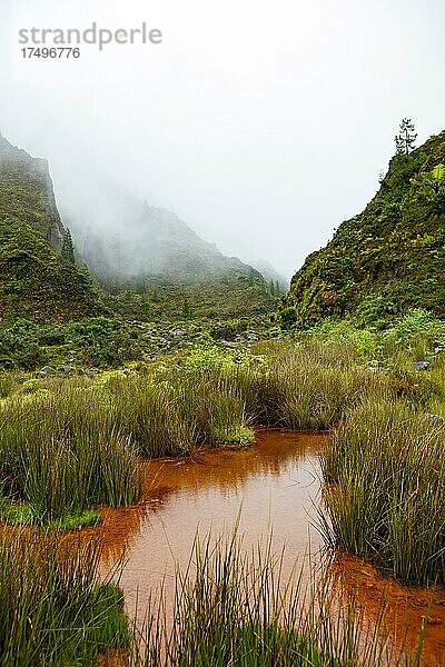 Mooslandschaft mit orangen eisenhaltigen Wasser  Vale das Lombadas  Serra de Aqua de Pau  Insel Sao Miguel  Azoren  Portugal  Europa