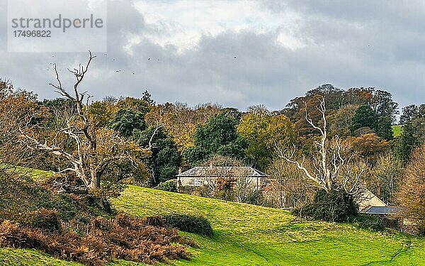 Ugbrooke House and Gardens in den Farben des Herbstes  Exeter  Devon  England  Großbritannien  Europa