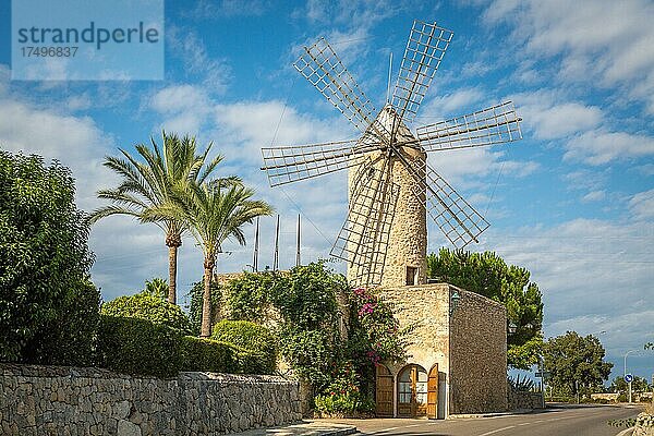 Historische Windmühle  Restaurant Molí den Pau  Sineu  Mallorca  Spanien  Europa
