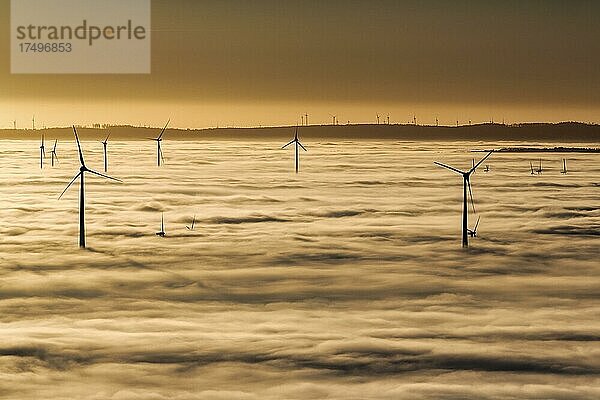 Windräder ragen aus Wolkendecke  Silhouetten bei Sonnenuntergang  Köterberg  Lügde  Weserbergland  Nordrhein-Westfalen  Deutschland  Europa