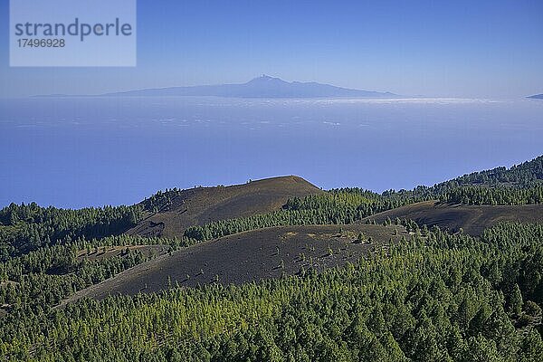 Blick vom Vulkan Birigoyo zum Teide  El Paso  La Palma  Spanien  Europa