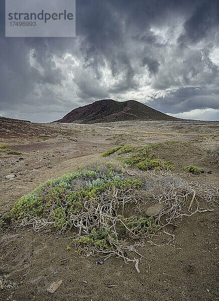 Karger Bodenbewuchs und dahinter der Berg Montana Roja  El Medano  Teneriffa  Spanien  Europa