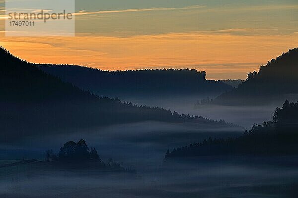 Morgendämmerung in einem Tal  Nebel  Wald  Egesheim  Naturpark Obere Donau  Baden-Württemberg  Deutschland  Europa