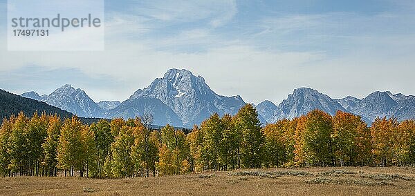 Bergpanorama des Teton Range Gebirgszug  Gipfel des Mount Moran  Herbstlich verfärbte Bäume  Grand Teton Nationalpark  Wyoming  USA  Nordamerika