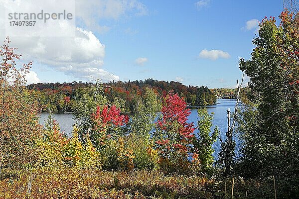 Herbstlandschaft  Provinz Quebec  Kanada  Nordamerika