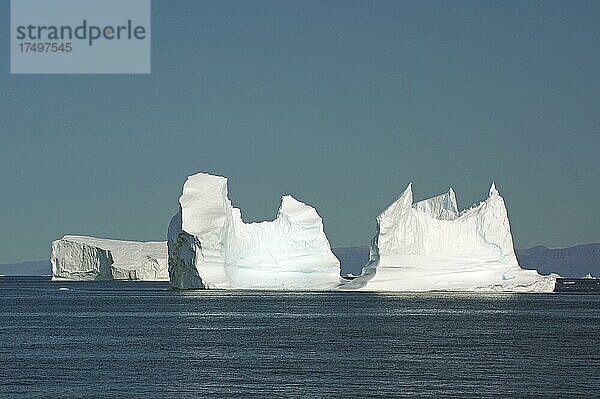 Riesige Eisberge in einer weiten Bucht  Disko Insel im Hintergrund  Disko Bucht  Arktis  Grönland  Dänemark  Nordamerika