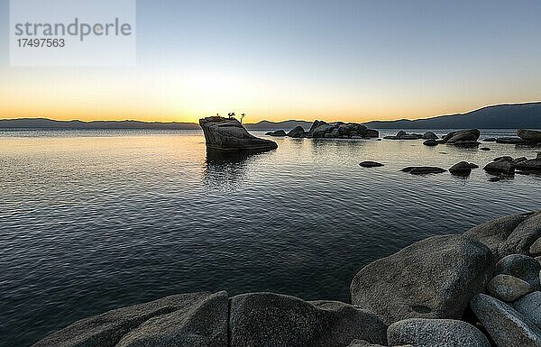 Ufer am See  Bonsai Rock  kleiner Baum auf einem Fels im Wasser bei Sonnenuntergang  See Lake Tahoe  Kalifornien  USA  Nordamerika
