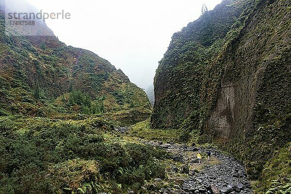 Drohnenaufnahme  Wanderer im nebelverhangenen wildromantischen Tal Vale das Lombadas  Serra de Aqua de Pau  Insel Sao Miguel  Azoren  Portugal  Europa