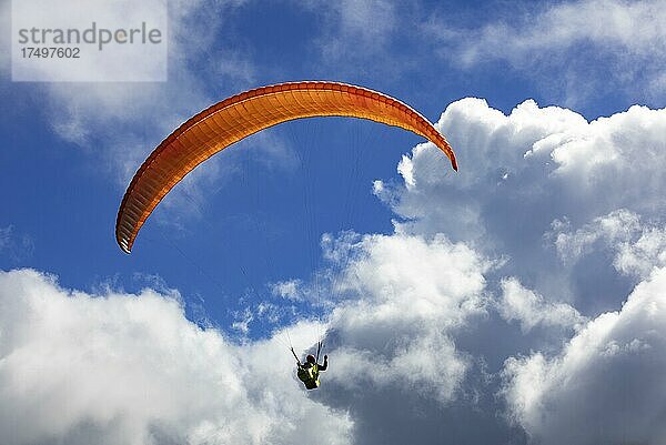Paragleiter mit dramatischem Wolkenhimmel nach dem Start vom Pico Barrosa  Insel Sao Miguel  Azoren  Portugal  Europa