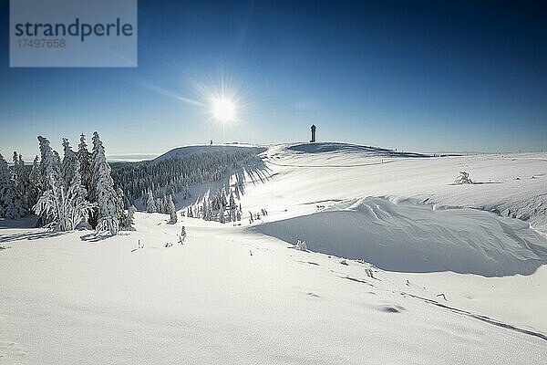 Schneebedeckte Fichten (Picea) und Feldbergturm im Winter  Feldberg  Schwarzwald  Baden-Württemberg  Deutschland  Europa