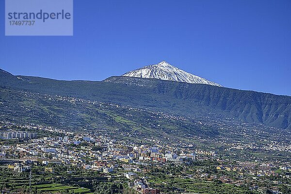 Blick über die Stadt bis zum schneebedeckten Teide  Mirador de Humboldt  La Orotava  Teneriffa  Spanien  Europa