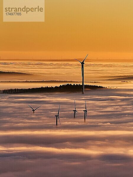 Wald und Windräder ragen aus Wolkendecke  Silhouetten bei Sonnenuntergang  Köterberg  Lügde  Weserbergland  Nordrhein-Westfalen  Deutschland  Europa