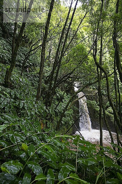 Wanderer beim Wasserfall Salto do Prego  Faial da Terra  Sao Miguel  Azoren  Portugal  Europa