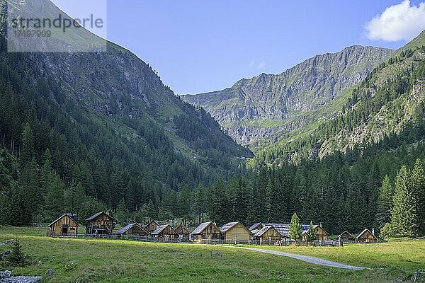 Vordere Göriachalmen  Göriach  Salzburg  Österreich  Europa