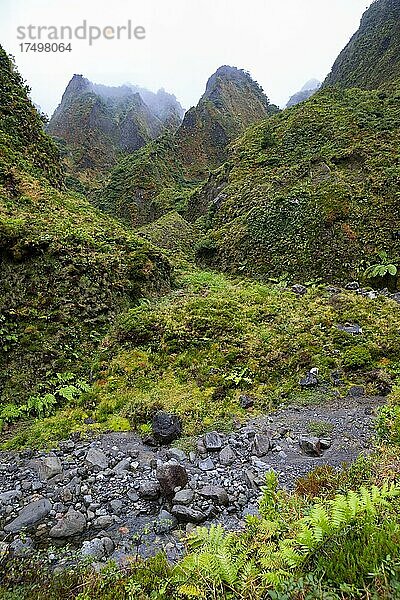 Flusslauf durch das nebelverhangene wildromantische Tal Vale das Lombadas  Serra de Aqua de Pau  Insel Sao Miguel  Azoren  Portugal  Europa