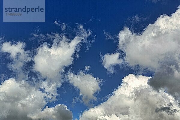Quellwolken am blauen Himmel  Ring of Kerry  Irland  Europa