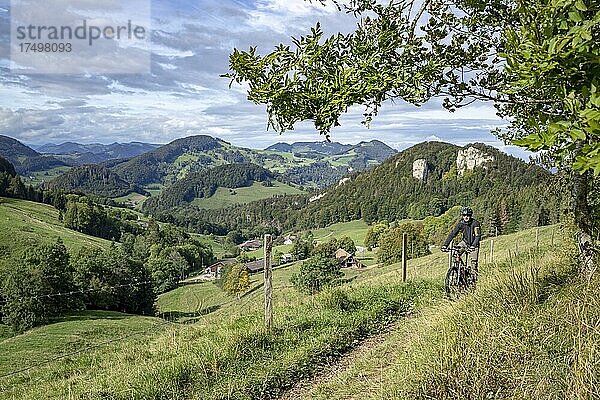 Mountainbiker  Chilchzimmersattel  Erste Jurakette  Basel-Landschaft  Schweiz  Europa