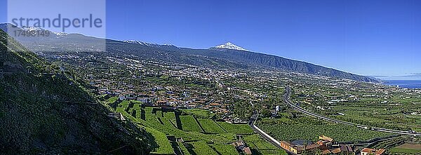 Blick über die Stadt bis zum schneebedeckten Teide  Mirador de Humboldt  La Orotava  Teneriffa  Spanien  Europa