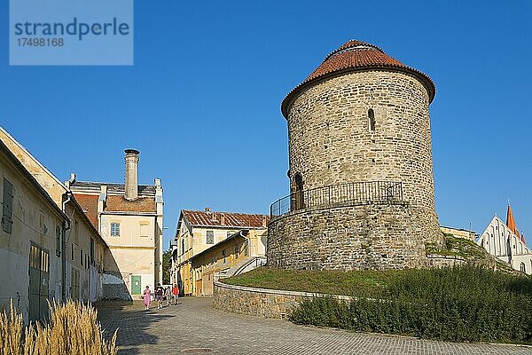 Rotunde der heiligen Katharina  Altstadt  Znojmo  Znaim  Okres Znojmo  Kraj Jihomoravský  Südmähren  Mähren  Tschechien  Europa