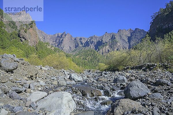 Felsszenerie beim Rio Taburiente  Caldera de Taburiente  El Paso  La Palma  Spanien  Europa