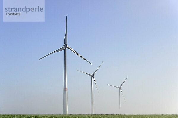 Windkraftwerke  aufsteigender Nebel  blauer Himmel  Nordrhein-Westfalen  Deutschland  Europa