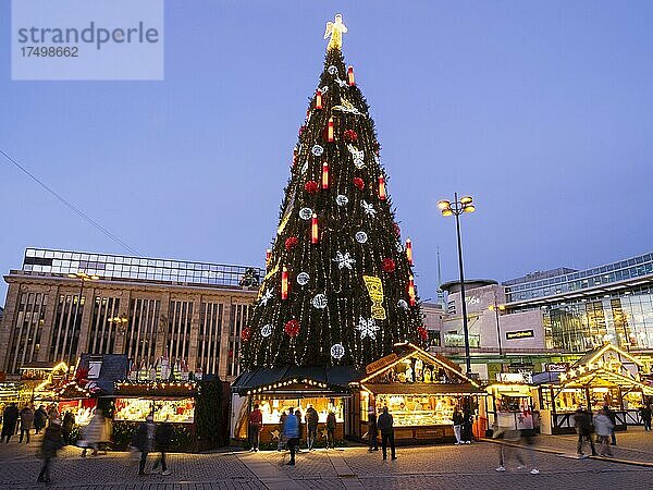 Der größte Weihnachtsbaum der Welt am Weihnachtsmarkt Dortmund  Blaue Stunde  Dortmund  Ruhrgebiet  Nordrhein-Westfalen  Deutschland  Europa