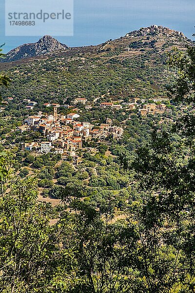 Blick auf Dorf Aregno  Balagne  Garten Korsikas  Balagne  Korsika  Frankreich  Europa