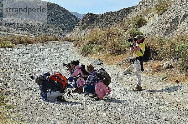 Stehende und hockende Fotografinnen im Fotokurs  fotografieren  Fotoworkshop für Frauen in Spanien