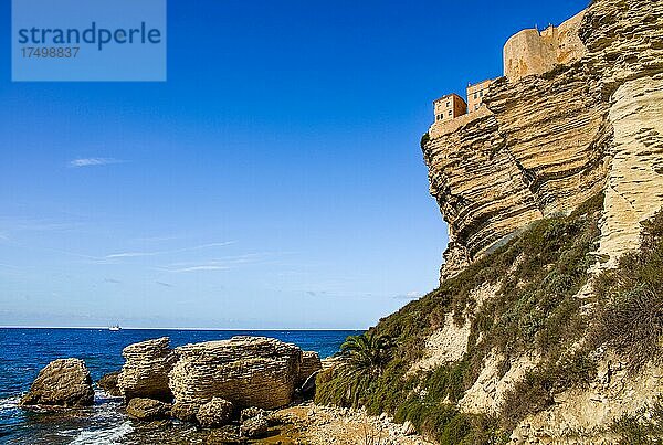 Steilküste von Bonifacio  auf einem Kalkplateau  Korsika  Bonifacio  Korsika  Frankreich  Europa