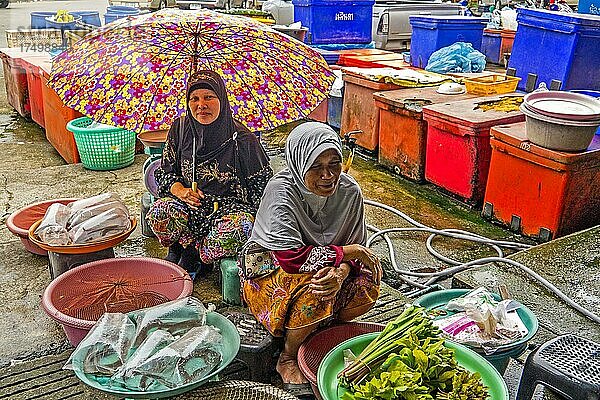 Meeresfrüchte  Fischstand  Markt in Takua Pa fish stall  market in Takua Pa  Takua Pa  Phang Nga  Thailand  Asien