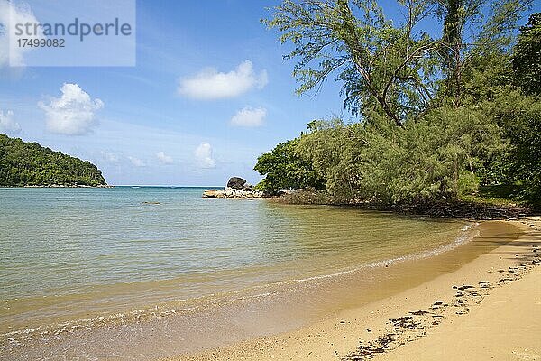 Laran Beach  Phuket beach with palms  Phuket  Phuket  Thailand  Asien