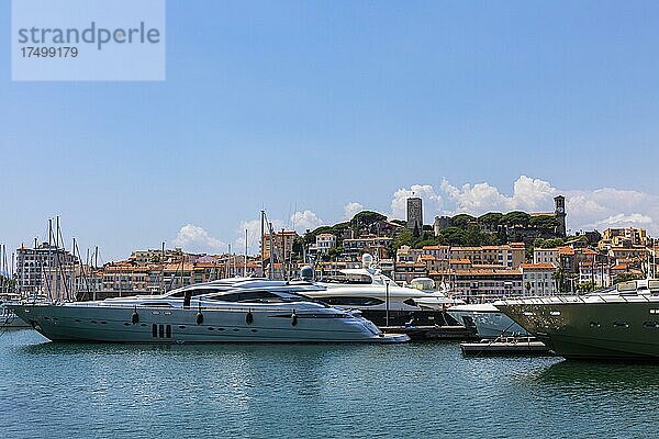 Luxus Yachten ankern im Hafen von Cannes  dahinter die Burg über der Altstadt  Cannes  Provence-Alpes-Cote dAzur  Südfrankreich
