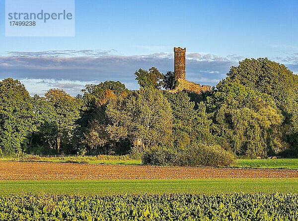 Ruine Altenburg im Abendlicht  Felsberg  Hessen  Deutschland  Europa