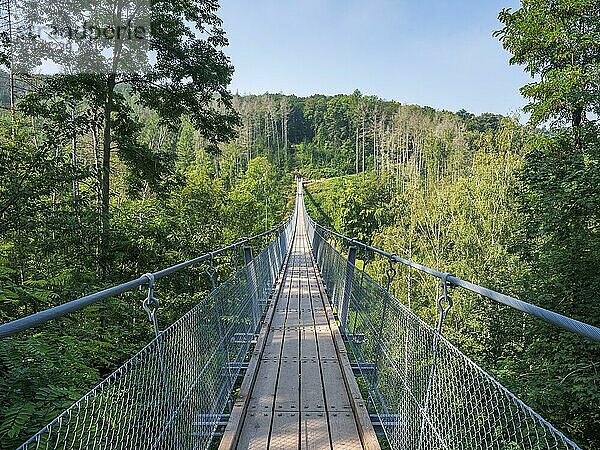 Hängebrücke über das Bärental  Höhenzug Hohe Schrecke  Thüringen  Deutschland  Europa