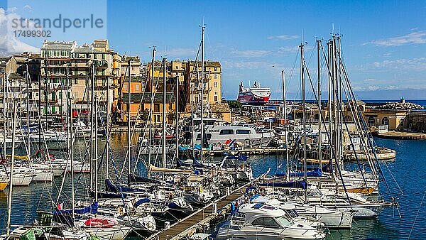 Alter Hafen  Bastia  Korsika  Bastia  Korsika  Frankreich  Europa