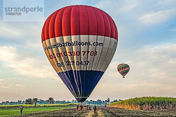 Ballon-Landung  Luxor aus der Vogel-Perspektive im Heissluftballon  Theben  Ägypten  Luxor  Theben  Ägypten  Afrika