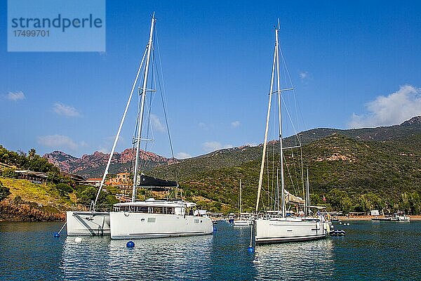 Hafen beim Dorf Girolata mit treppenfoermig angelegten Häusern im Naturreservat von Scandola  Korsika  Girolata  Korsika  Frankreich  Europa