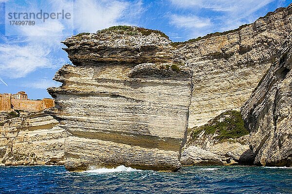 Spektakularerer Blick auf die Kreidefelsen und die Steilküste vom Boot aus  Bonifacio  Korsika  Bonifacio  Korsika  Frankreich  Europa