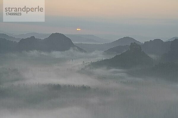 Aussicht vom Kleinen Winterberg bei Sonnenaufgang Aussicht auf Lorenzsteine und Hinteres Raubschloß bzw. Winterstein  Morgennebel  Elbsandsteingebirge  Nationalpark Sächsische Schweiz  Sachsen  Deutschland  Europa