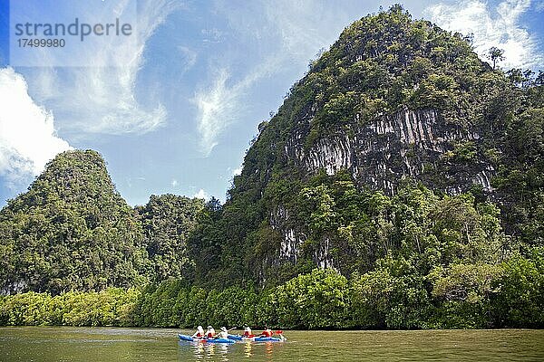 mit dem Longtailboot durch die Mangrovenküste bei Ao Luk Mangrove coast  Ao Luk  Ao Luk  Krabi  Thailand  Asien