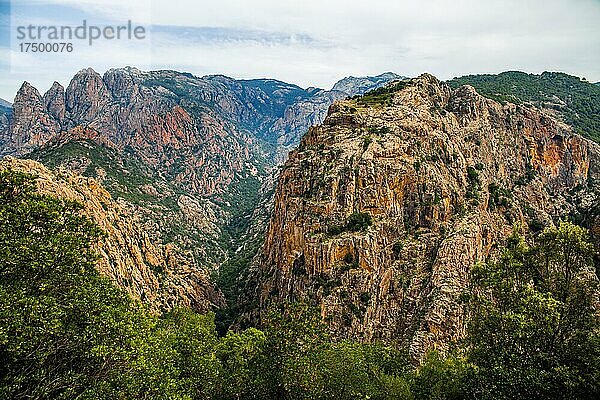 Spelunca-Schlucht auf der Westseite des Col de Vergio  Korsika  Corte  Korsika  Frankreich  Europa
