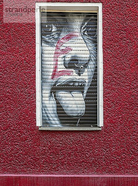 Kreative Graffiti mit emotionalen Aussagen an der Hausfassade eine Jugendpsychiaters  Berlin  Deutschland  Europa