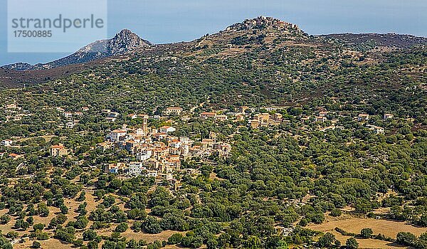 Blick auf Dorf Aregno  Balagne  Garten Korsikas  Balagne  Korsika  Frankreich  Europa