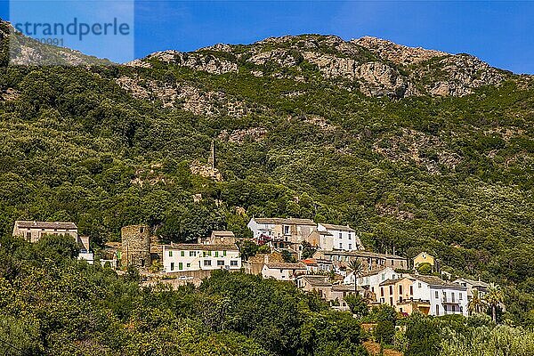 Am Hang gelegenes Rogliano mit Genueserturm  ehemaligem Kloster  mehreren Kirchen  Cap Corse  Korsika  Rogliano  Korsika  Frankreich  Europa