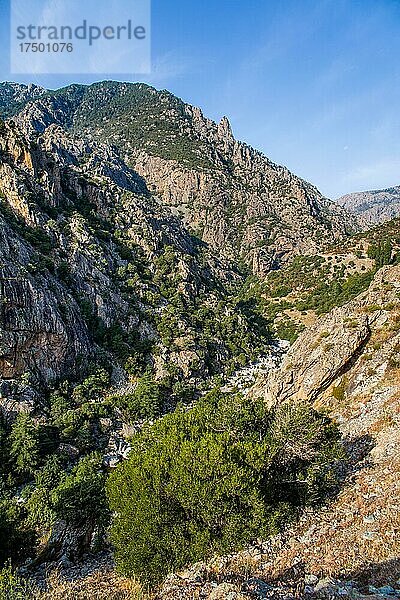 Bergmassiv nahe Corte  Korsika  Corte  Korsika  Frankreich  Europa