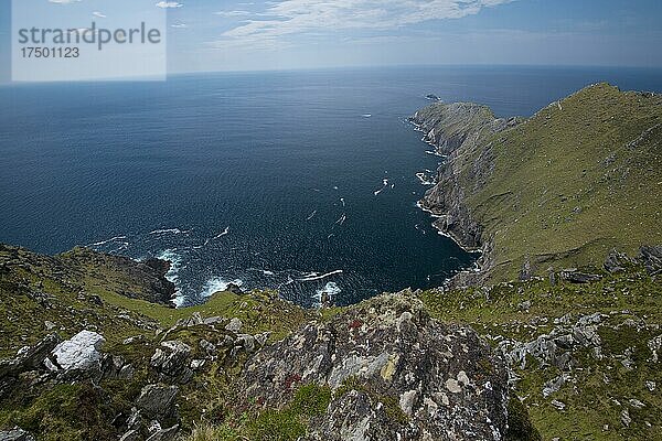 Achill Head  Achill Island in County Mayo  Irland  Europa